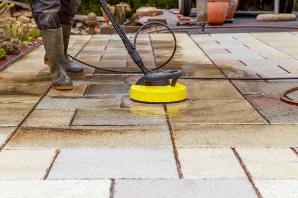 Animal Enclosure Cleaning in Cheltenham Village, PA